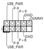 ASROCK H55M - USB 2.0-Header - 2