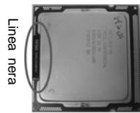 ASROCK H55M - Installazione del processore - 8