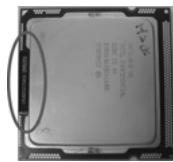 ASROCK H55M - Sicherheitshinwelle vor der Montage - 7