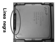 ASROCK H55M - Paso 3. Inserte la CPU de 1156 agujas: - 1