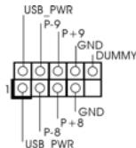 ASROCK H55M - Collettore USB 2.0 - 2