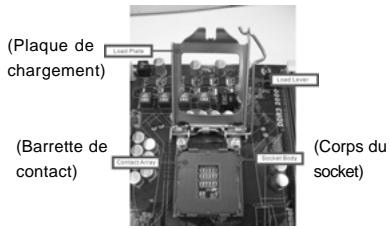 ASROCK H55M - Installation du CPU - 1