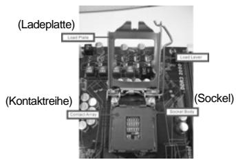 ASROCK H55M - Sicherheitshinwelle vor der Montage - 1