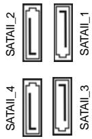 ASROCK H55M - Conexiones de série ATAll - 1