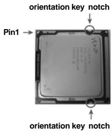 ASROCK H55M - CPU Installation - 8