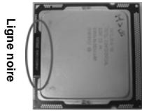 ASROCK H55M - Installation du CPU - 7