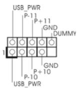 ASROCK H55M - En-tete USB 2.0 - 1