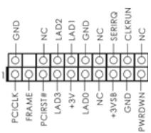 ASROCK H55M - TPM-Stiftleiste - 1