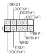 ASROCK K8NF4G-VSTA - Connecteurs Série ATAll - 18