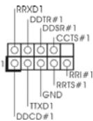 ASROCK K8NF4G-VSTA - Connettori Serial ATAII - 19