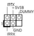 ASROCK K8NF4G-VSTA - Conector - 9