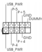ASROCK K8NF4G-VSTA - Conector - 8