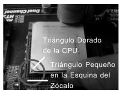 ASROCK 880G PRO3 - Instalación de Procesador - 3
