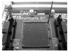 ASROCK 880G PRO3 - Instalación de Procesador - 2