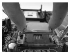 ASROCK 775I65GV - Etape 2. Insérez le processeur 775 broches : - 5