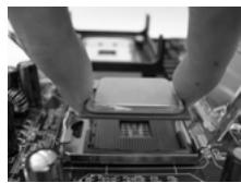 ASROCK 775I65GV - CPU Installation - 9