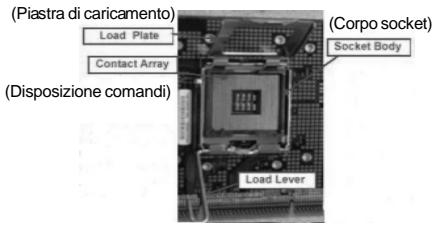 ASROCK 775I65GV - Installazione del processore - 1