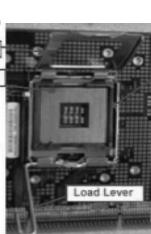 ASROCK 775I65GV - Installation du CPU - 2