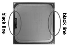 ASROCK 775I65GV - CPU Installation - 5