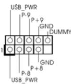 ASROCK ALIVENF6G-VSTA - USB 2.0 Headers - 1