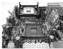 ASROCK G41C-GS - CPU Installation - 4