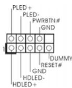 ASROCK G41C-GS - Cabezal de panel de sistema - 1