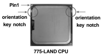 ASROCK G41C-GS - CPU Installation - 6