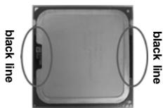 ASROCK G41C-GS - CPU Installation - 5