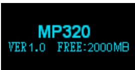 TRANSCEND MP320 - Mode de transfert de musique - 5