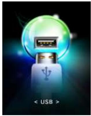 TRANSCEND MP870 - Type de connexion USB - 2