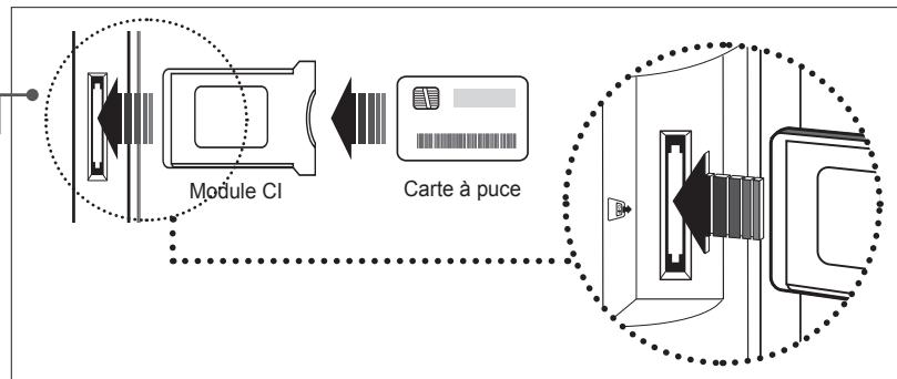 HUMAX LGB-19DXT - Insertion d'un module Cl (avec carte à puce) - 2