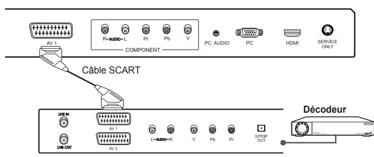 HUMAX LGB-19DXT - Utilisation du cable SCART - 2