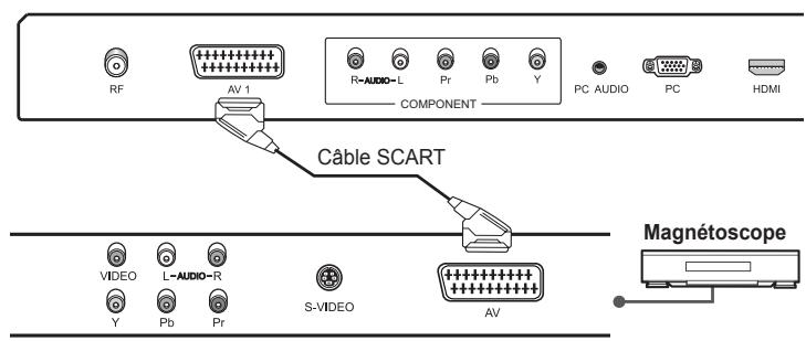 HUMAX LGB-19DXT - Utilisation du cable SCART - 2