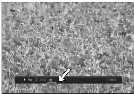 HUMAX TN-5000HD - Lecture de favoris - 1