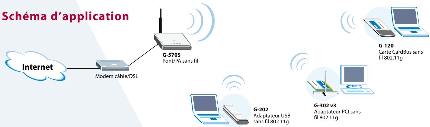 ZYXEL G-120 - Mobilité sans fil grçace au roaming - 10