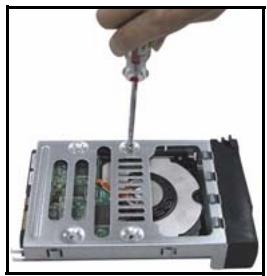 ZYXEL NSA-2401 - Installieren der Festplatten - 4