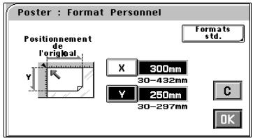 MINOLTA CF 9001 - Si l'original n'a pas un format standard : - 2