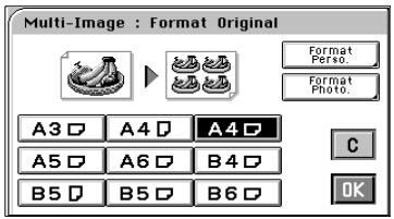 MINOLTA CF 9001 - Paramétrage de la fonction Multi-Images - 1
