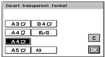 MINOLTA CF 9001 - Paramétrage mode Encart transparent - 3