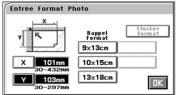 MINOLTA CF 9001 - Mémorisation d'un format photo - 2