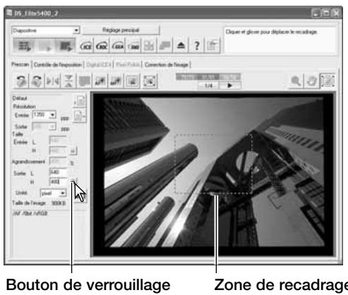 MINOLTA DIMAGE SCAN ELITE 5400II - Case de dimensions de sortie : - 2