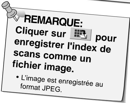 MINOLTA DIMAGE SCAN DUAL - REMARQUE: - 1