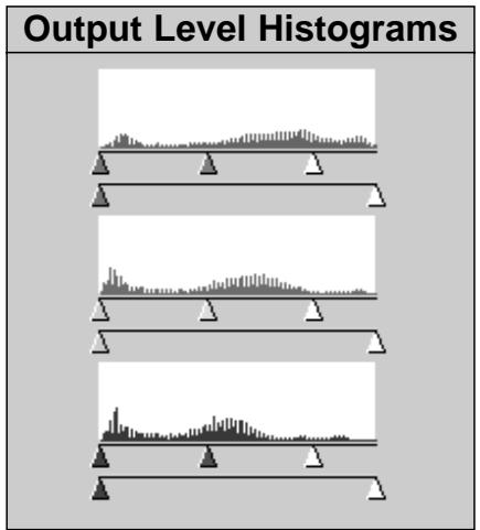 MINOLTA DIMAGE SCAN DUAL - Cliquer sur 📄 et maintenir la pression pour voir les histogrammes des niveaux de sortie. - 2