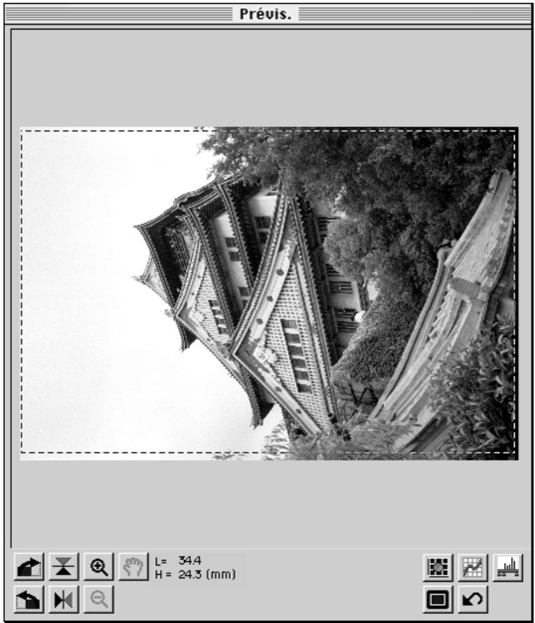 MINOLTA DIMAGE SCAN DUAL - L'image préscannérisée apparaît dans la fenêtre de prévisualisation. - 1