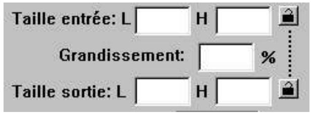 MINOLTA DIMAGE SCAN DUAL - Les dimensions du cadrage sont affichées dans les cases Taille d'entrée. - 1