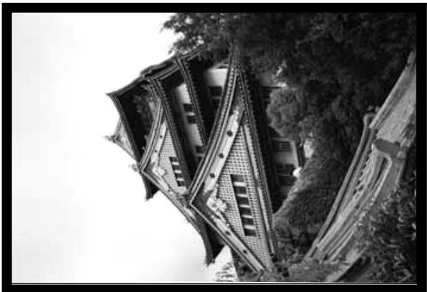MINOLTA DIMAGE SCAN DUAL - Rotation - 1