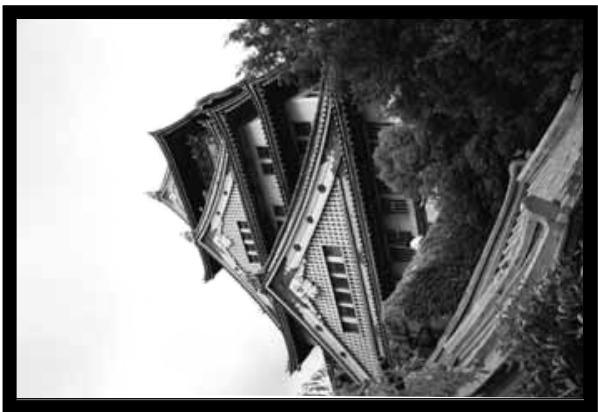 MINOLTA DIMAGE SCAN DUAL - Rotation - 2