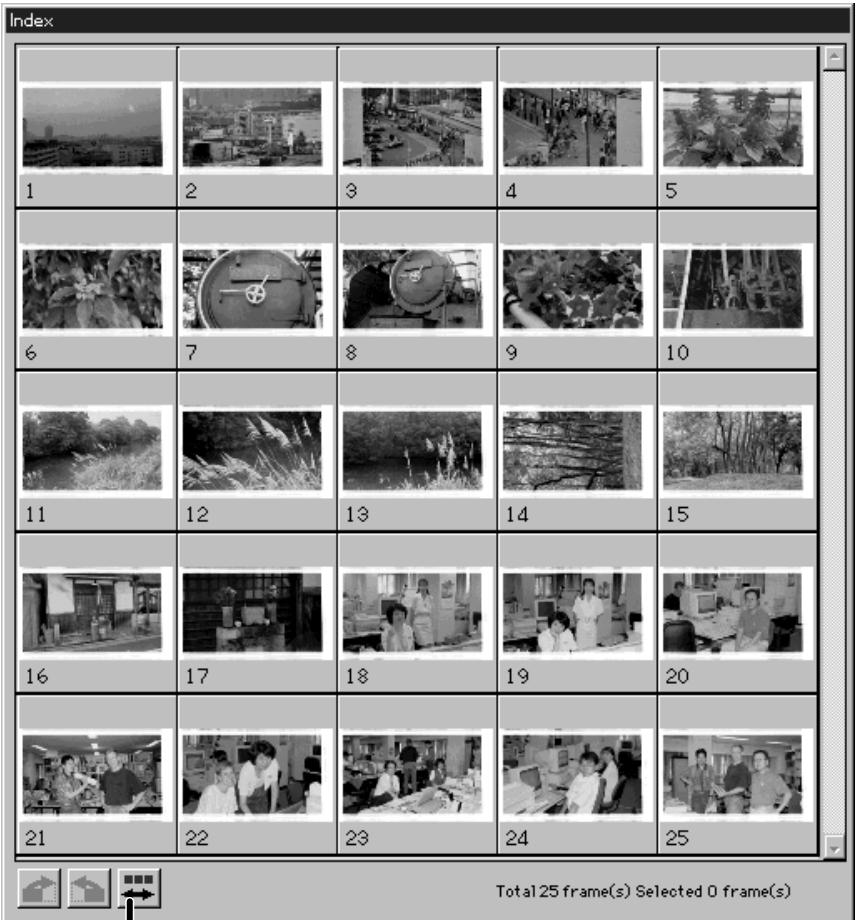 MINOLTA DIMAGE SCAN DUAL - Cliquer sur Scan Index. - 1
