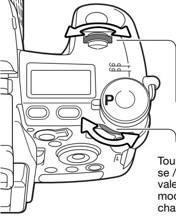 MINOLTA DIMAGE A2 - DÉCALAGE DE PROGRAMME - Ps/Pa - 1