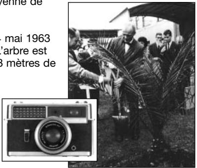 MINOLTA DIMAGE A2 - Konica Minolta History - 1